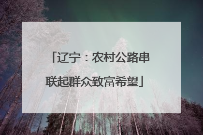 辽宁：农村公路串联起群众致富希望