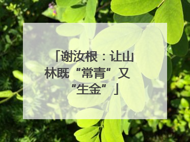 谢汝根：让山林既“常青”又“生金”