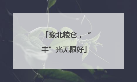 豫北粮仓，“丰”光无限好