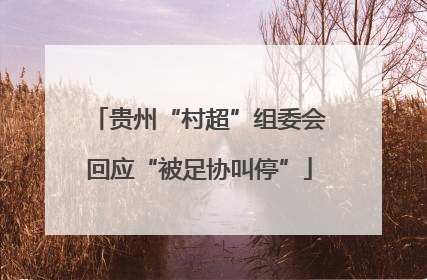 贵州“村超”组委会回应“被足协叫停”