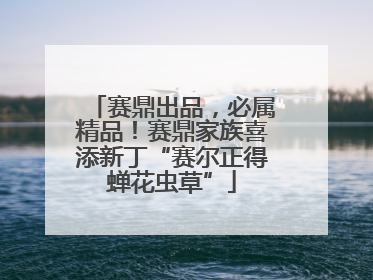 赛鼎出品，必属精品！赛鼎家族喜添新丁“赛尔正得蝉花虫草”