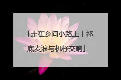 走在乡间小路上丨祁底麦浪与机杼交响