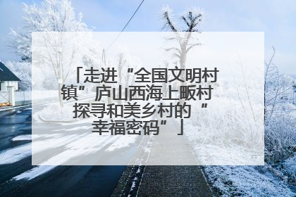 走进“全国文明村镇”庐山西海上畈村 探寻和美乡村的“幸福密码”