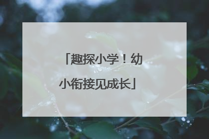 趣探小学！幼小衔接见成长
