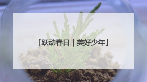 跃动春日｜美好少年