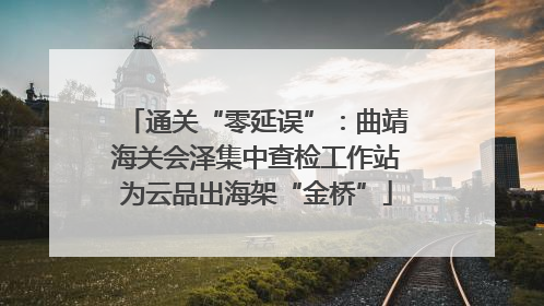 通关“零延误”：曲靖海关会泽集中查检工作站为云品出海架“金桥”
