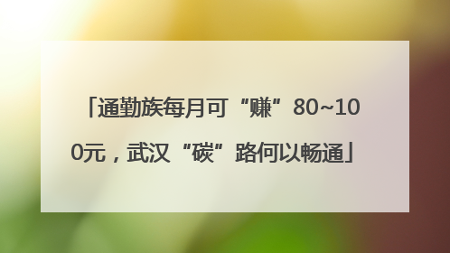 通勤族每月可“赚”80~100元，武汉“碳”路何以畅通