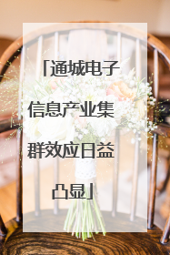 通城电子信息产业集群效应日益凸显