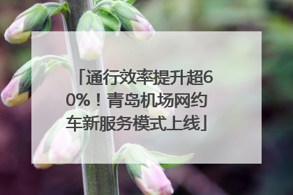 通行效率提升超60%！青岛机场网约车新服务模式上线
