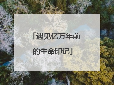 遇见亿万年前的生命印记