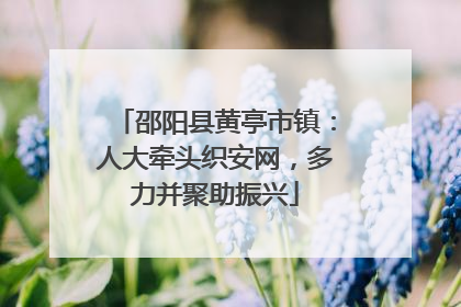 邵阳县黄亭市镇：人大牵头织安网，多力并聚助振兴