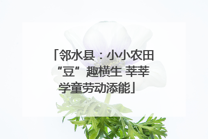 邻水县：小小农田“豆”趣横生 莘莘学童劳动添能