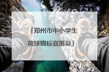 郑州市中小学生荷球锦标赛落幕