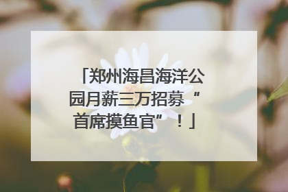 郑州海昌海洋公园月薪三万招募“首席摸鱼官”！
