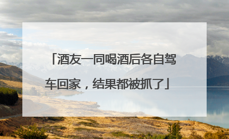 酒友一同喝酒后各自驾车回家，结果都被抓了