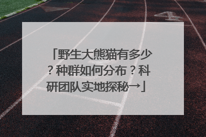 野生大熊猫有多少？种群如何分布？科研团队实地探秘→