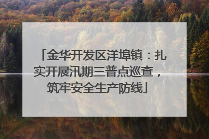 金华开发区洋埠镇：扎实开展汛期三普点巡查，筑牢安全生产防线
