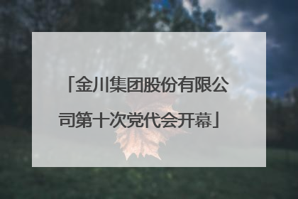 金川集团股份有限公司第十次党代会开幕