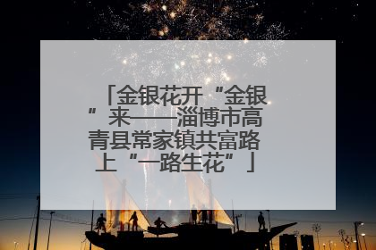 金银花开“金银”来——淄博市高青县常家镇共富路上“一路生花”