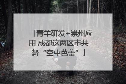 青羊研发+崇州应用 成都这两区市共舞“空中芭蕾”