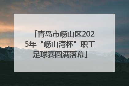 青岛市崂山区2025年“崂山湾杯”职工足球赛圆满落幕