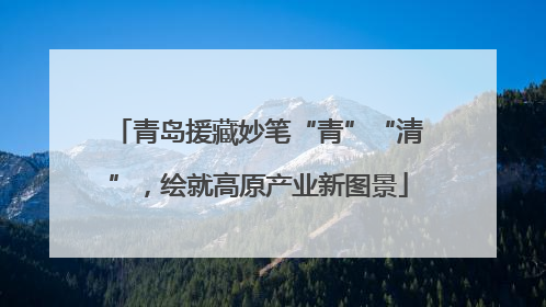 青岛援藏妙笔“青”“清”，绘就高原产业新图景