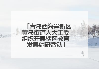 青岛西海岸新区黄岛街道人大工委组织开展辖区教育发展调研活动