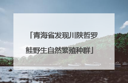 青海省发现川陕哲罗鲑野生自然繁殖种群