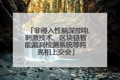 非侵入性脑深部电刺激技术、区块链智能漏洞检测系统等将亮相上交会