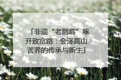 非遗“老鹳嘴”啄开致富路：会泽高山苦荞的传承与新生