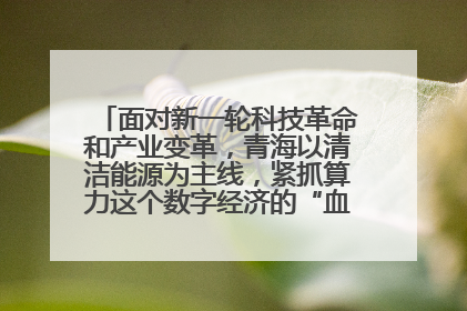 面对新一轮科技革命和产业变革，青海以清洁能源为主线，紧抓算力这个数字经济的“血液”、科技主权的“筹码”、产业升级的“杠杆”、绿色转型的“支点”，勇于撬动国家“双碳”战略、“东数西算”工程重大发展新机遇
