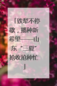 铁犁不停歇，播种新希望——山东“三夏”抢收抢种忙