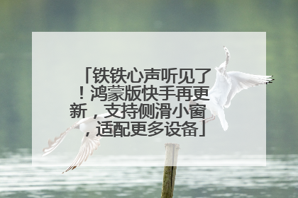 铁铁心声听见了！鸿蒙版快手再更新，支持侧滑小窗，适配更多设备