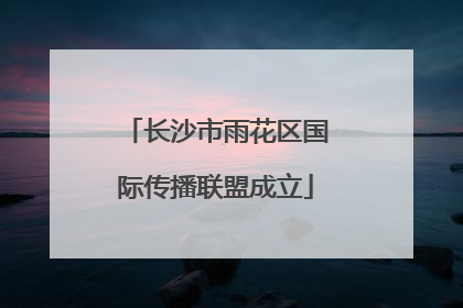 长沙市雨花区国际传播联盟成立