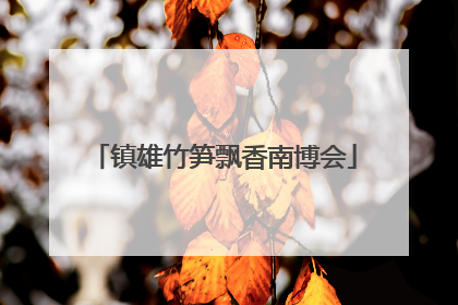 镇雄竹笋飘香南博会