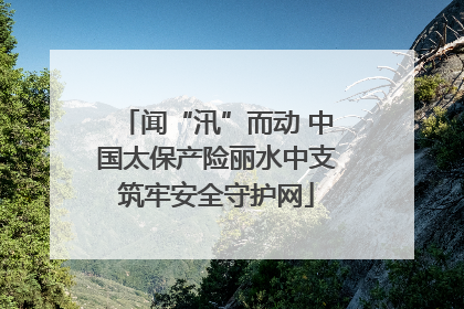 闻“汛”而动 中国太保产险丽水中支筑牢安全守护网