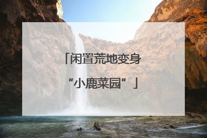 闲置荒地变身“小鹿菜园”