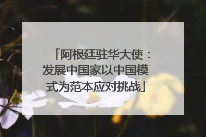 阿根廷驻华大使：发展中国家以中国模式为范本应对挑战