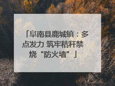 阜南县鹿城镇：多点发力 筑牢秸秆禁烧“防火墙”