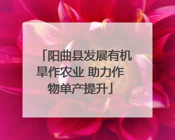 阳曲县发展有机旱作农业 助力作物单产提升