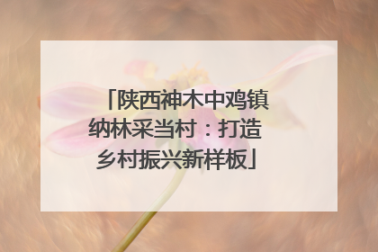 陕西神木中鸡镇纳林采当村：打造乡村振兴新样板