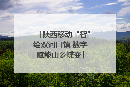 陕西移动“智”绘双河口镇 数字赋能山乡蝶变