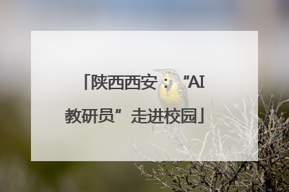 陕西西安：“AI教研员”走进校园