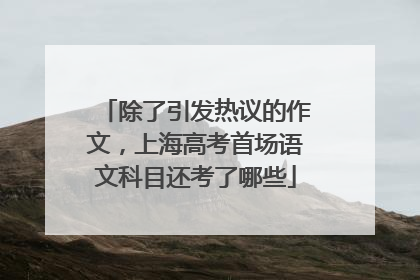 除了引发热议的作文，上海高考首场语文科目还考了哪些