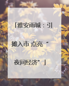 雅安雨城：引摊入市 点亮“夜间经济”