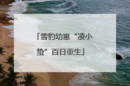 雪豹幼崽“凌小蛰”百日重生