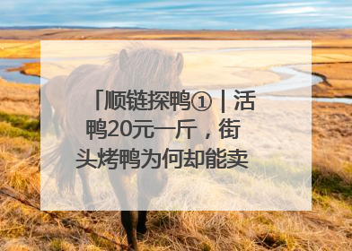 顺链探鸭①|活鸭20元一斤,街头烤鸭为何却能卖到20多元一只