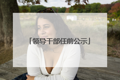 领导干部任前公示