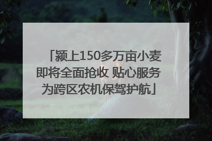 颍上150多万亩小麦即将全面抢收 贴心服务为跨区农机保驾护航