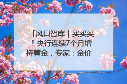 风口智库｜买买买！央行连续7个月增持黄金，专家：金价或仍易涨难跌